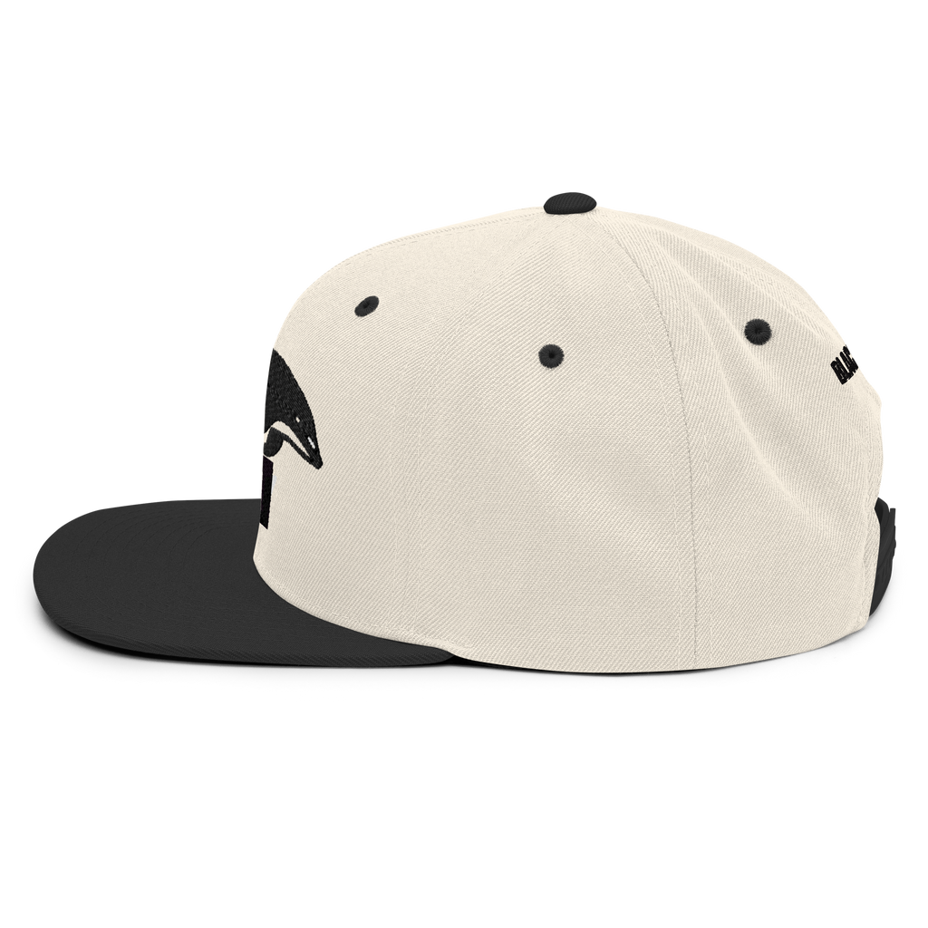 MMW 26' - 6 PANEL - Snapback Hat