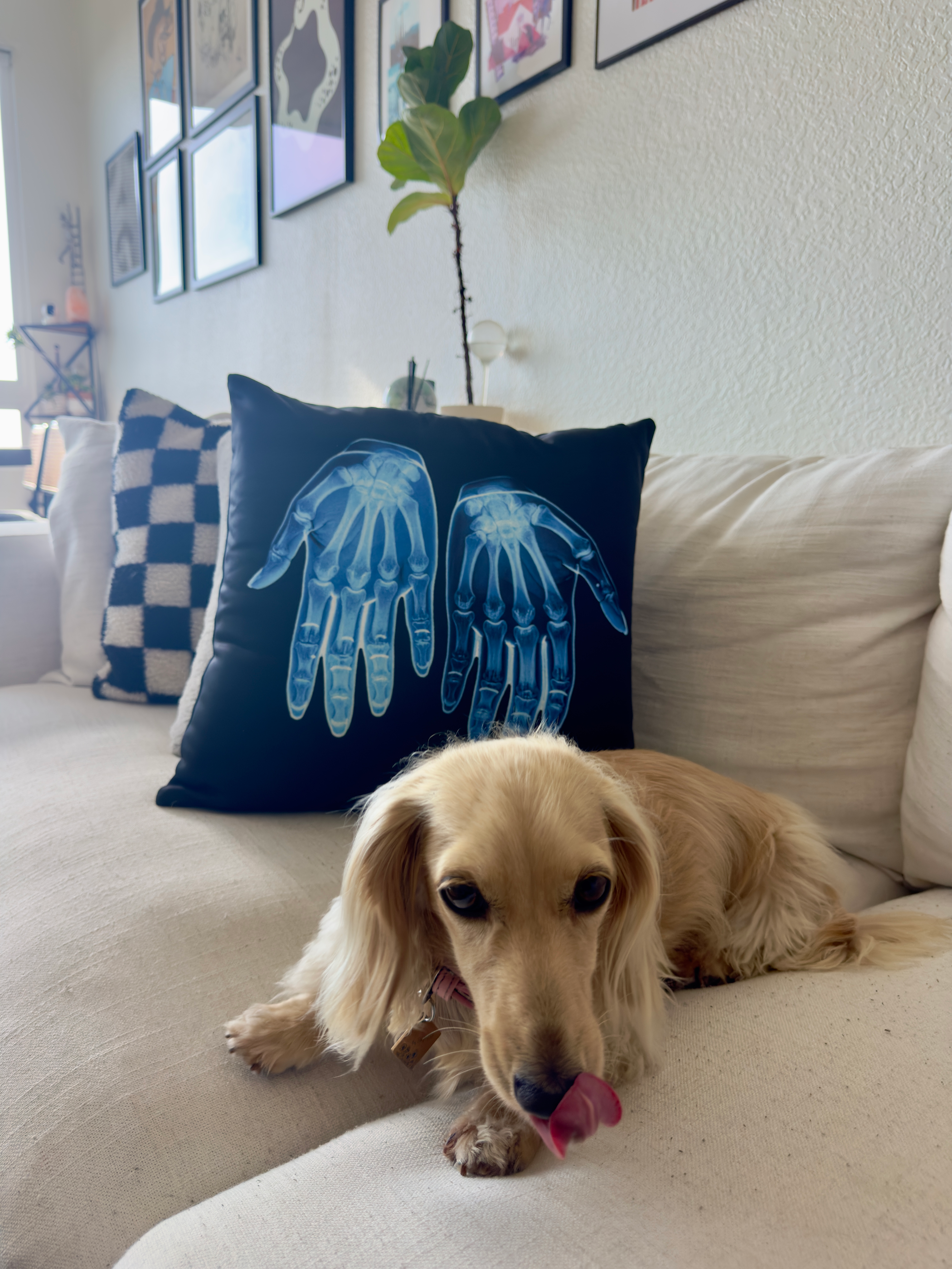 X-Ray HANDS - Pillow