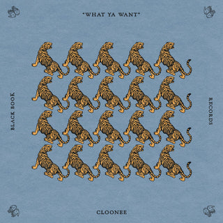 Cloonee - What Ya Want